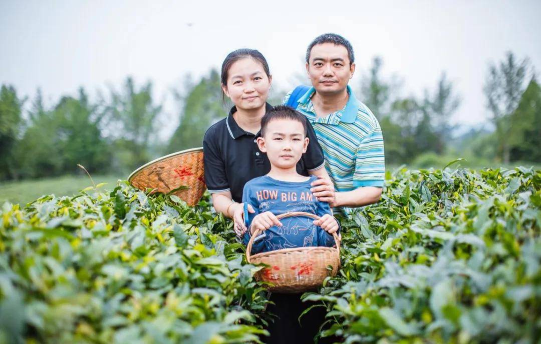 辞春迎夏采茶去，跟奇骏翻越茶山品香茗