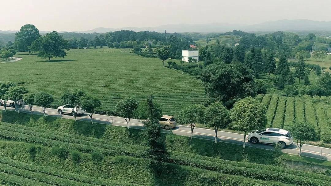 辞春迎夏采茶去，跟奇骏翻越茶山品香茗