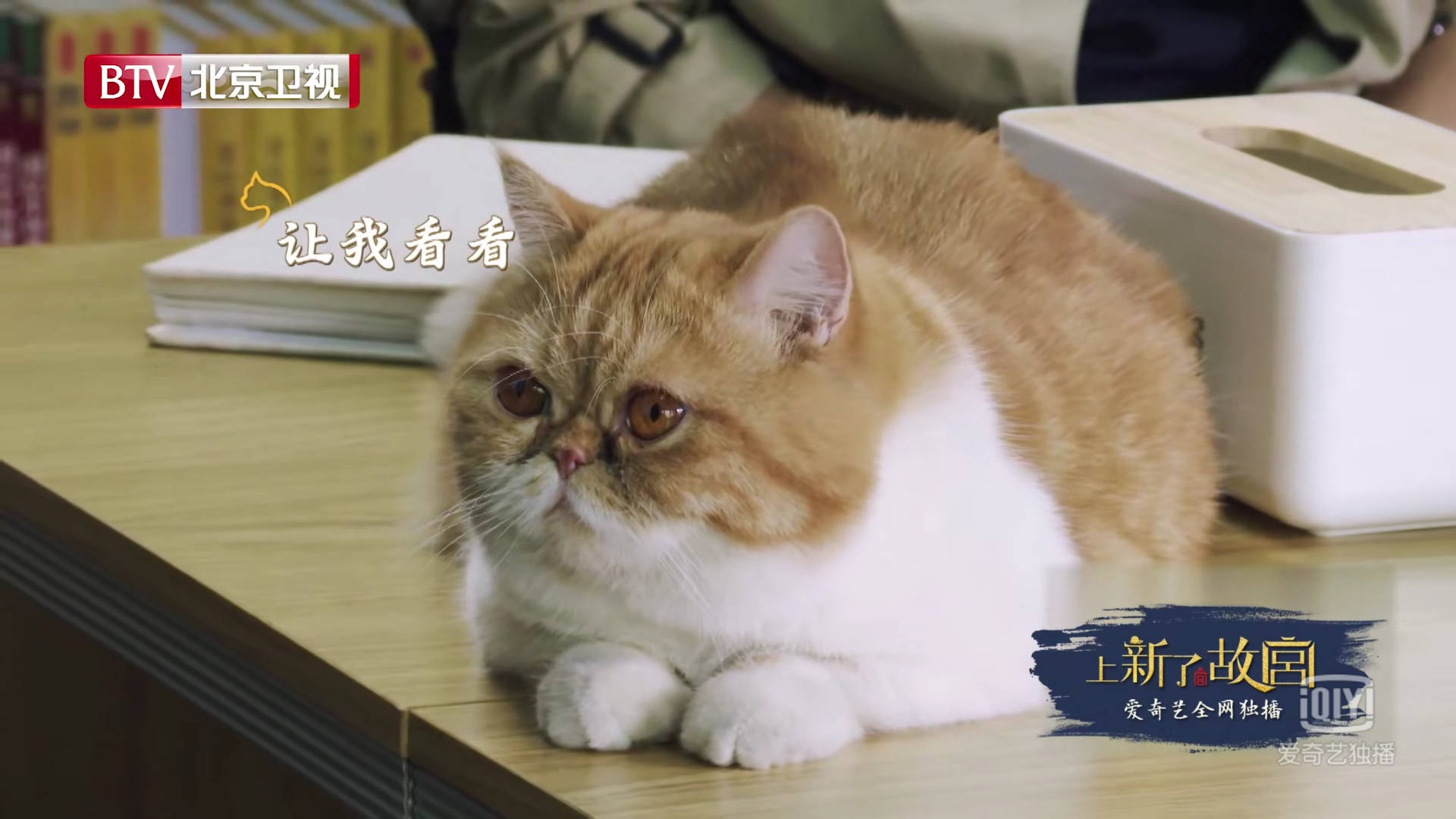 鲁班虽然长得高冷厌世,但其实本性纯良.