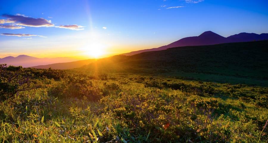 移动空调市场今年迎来首场洗牌：本土市场不敌海外出口代工-家电圈官网