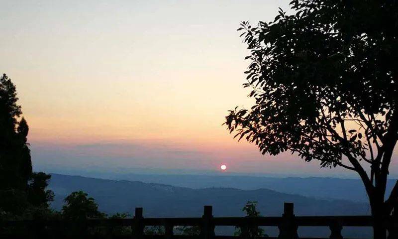 重慶巴南農家樂這家嘿有特色,採靈芝,觀雲海,看日出日落『紅豆杉山莊