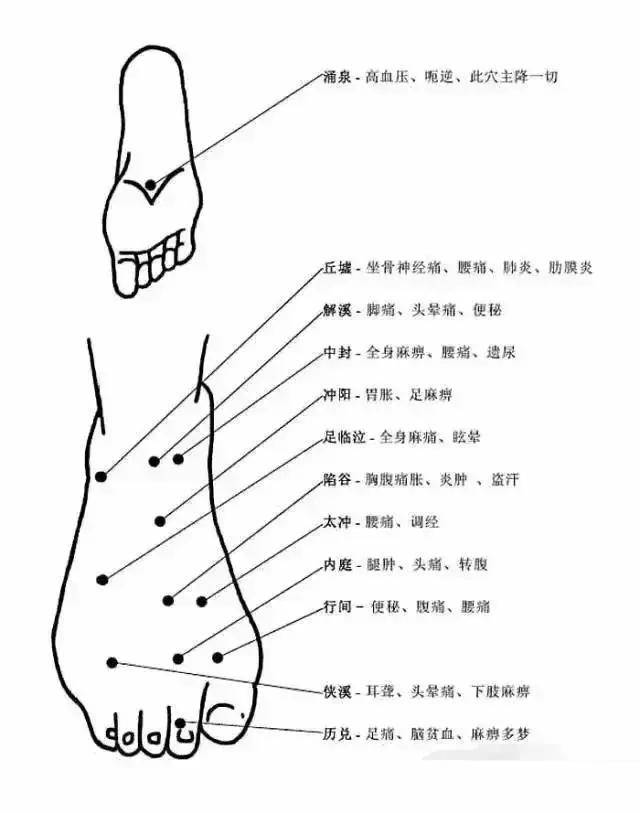 人體穴位作用圖解大全從頭到腳保健身體