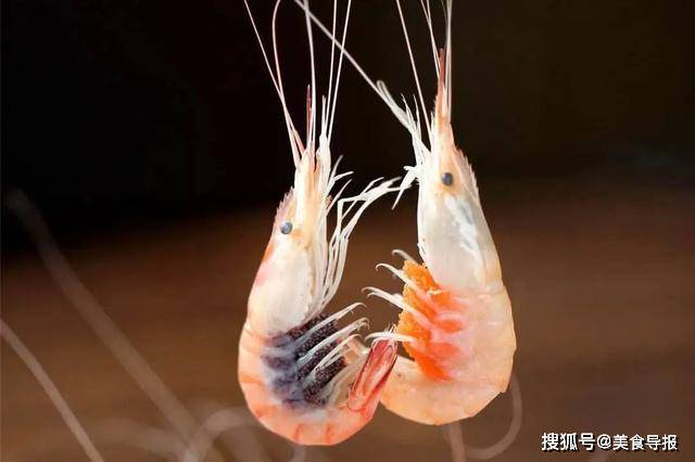 原创吃了这么多年的漕虾和麻虾你真的能区分他们吗