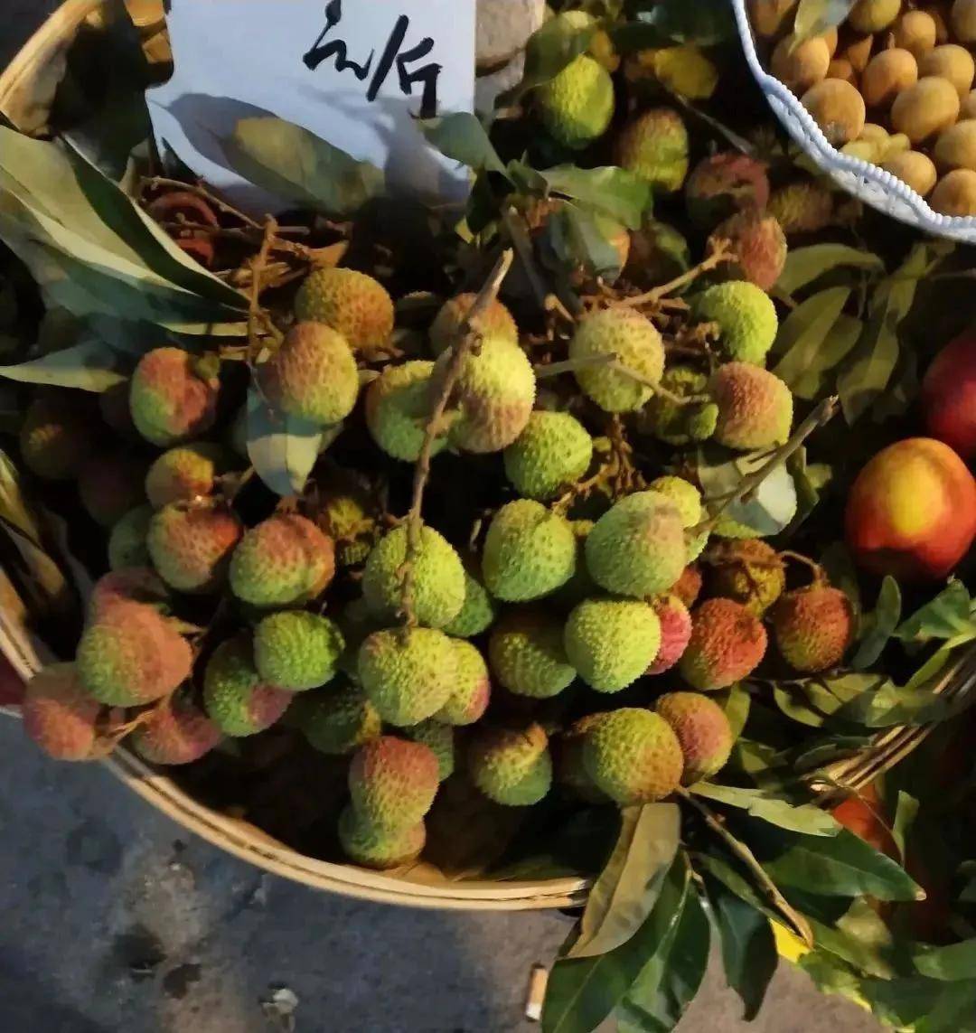 玉林荔枝上市了看到价格却望而止步你会买来吃吗