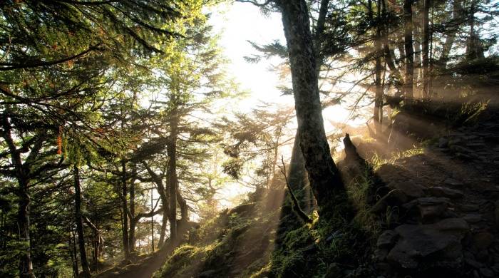 线下渠道占比大所以包袱重,这是家电企业经营的伪命题-家电圈官网