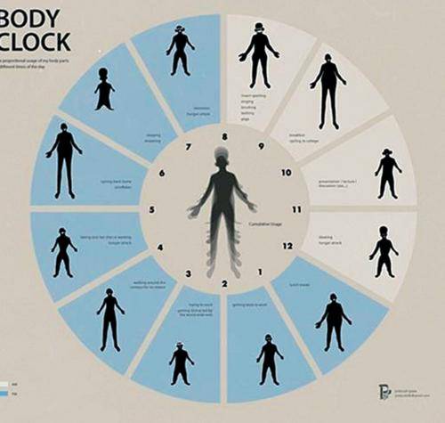 想要青春永驻,那您需要知道身体老化的内在原因_人体