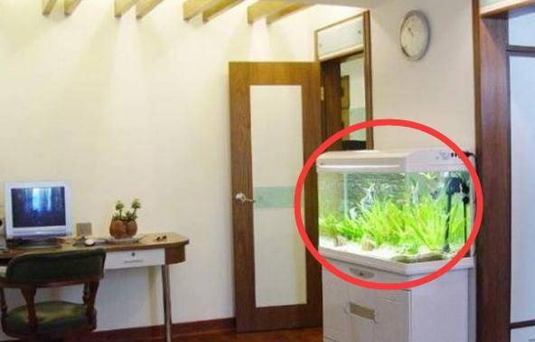 鱼缸摆放禁忌与风水关系 你家的鱼缸摆对了么