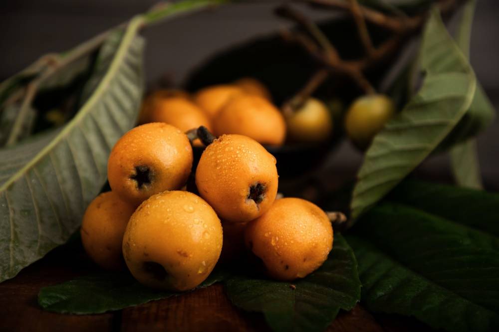 西安静物水果产品商业摄影之枇杷