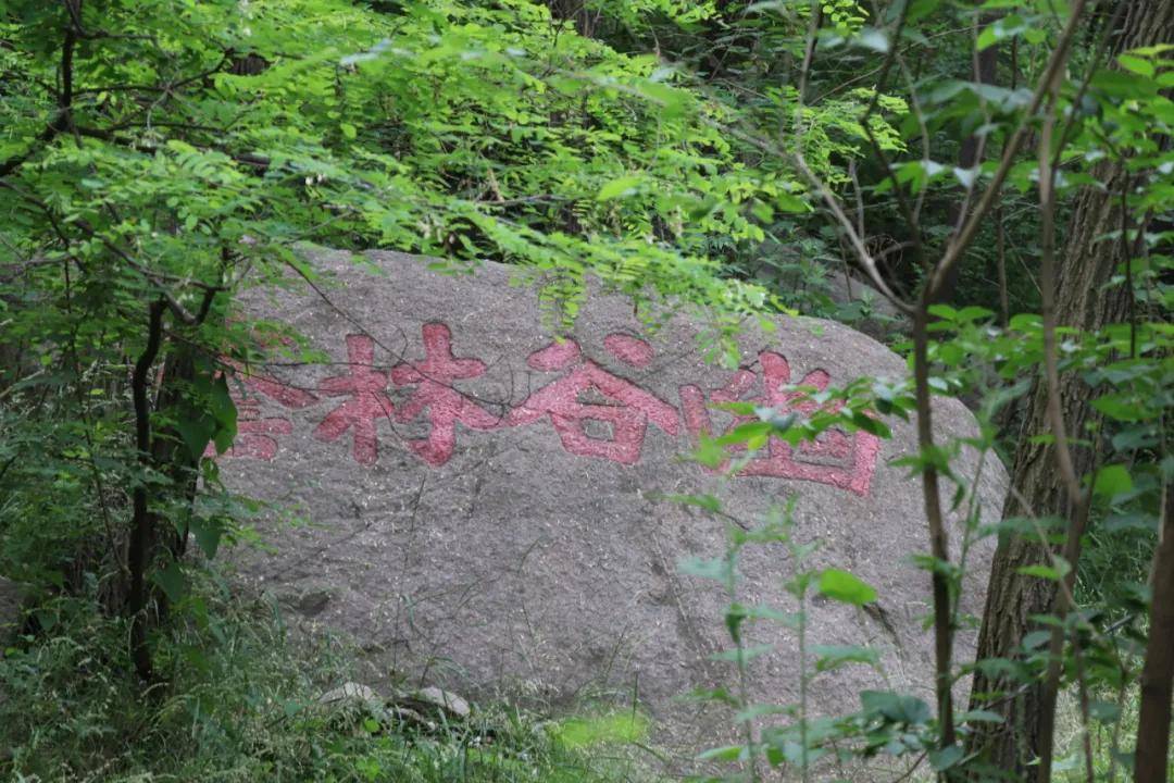 天熱時爬山,在石家莊當爬封龍山,綠樹成蔭,現又新修一條爬山路