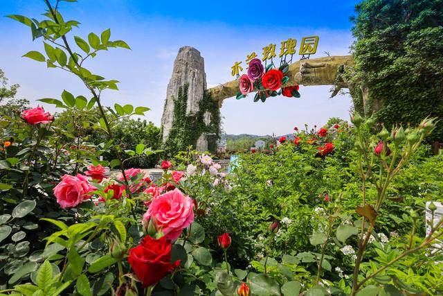 原创可不可以和喜欢的一切在一起