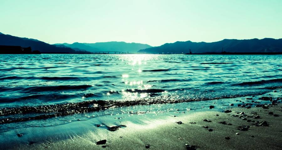 家电企业别怕下半年市场很难，先抢到眼前的蛋糕-家电圈官网