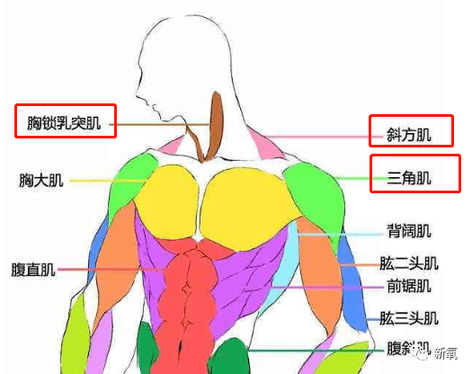 原创南韩第一美人,我只服她!