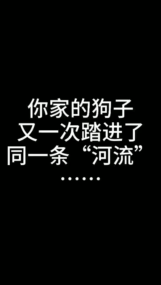 人不能两次踏进同一条河流,但是狗子可以