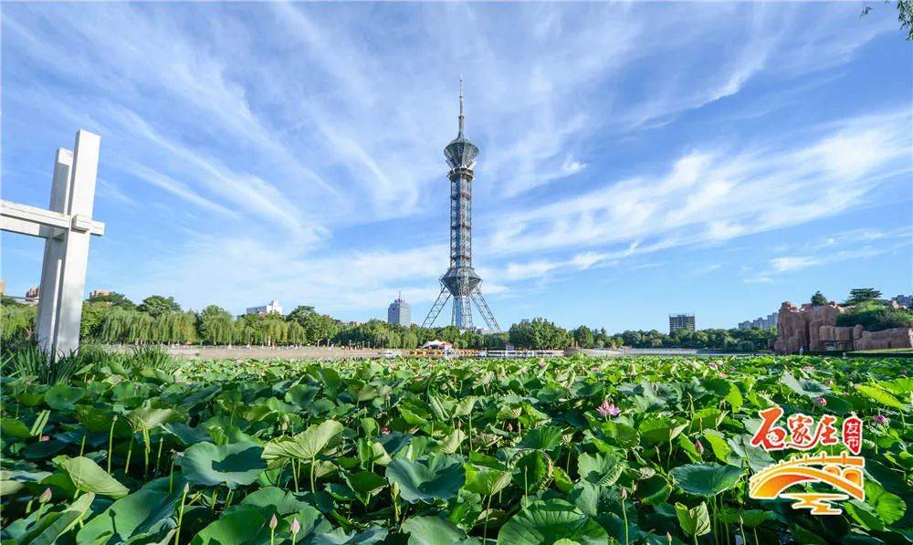 世界环境日来了石家庄科普宣传活动这样搞