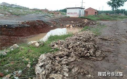 原創傾倒生活垃圾建築垃圾的是否構成汙染環境罪