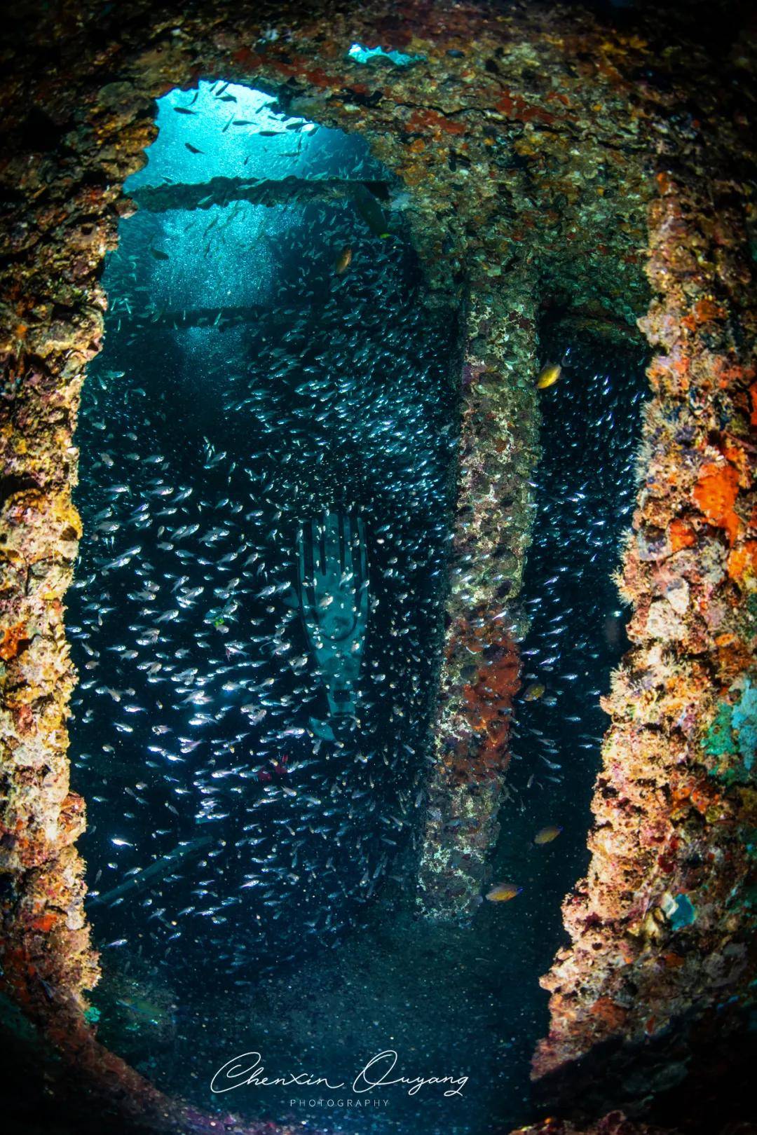 嘉年华圆满落幕蜈支洲岛神秘海底盛景惊艳世界