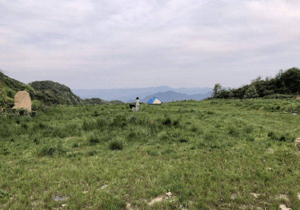 地点:綦江南天门庞官渡最近很火的一个露营地点,水质不错,而且凉快