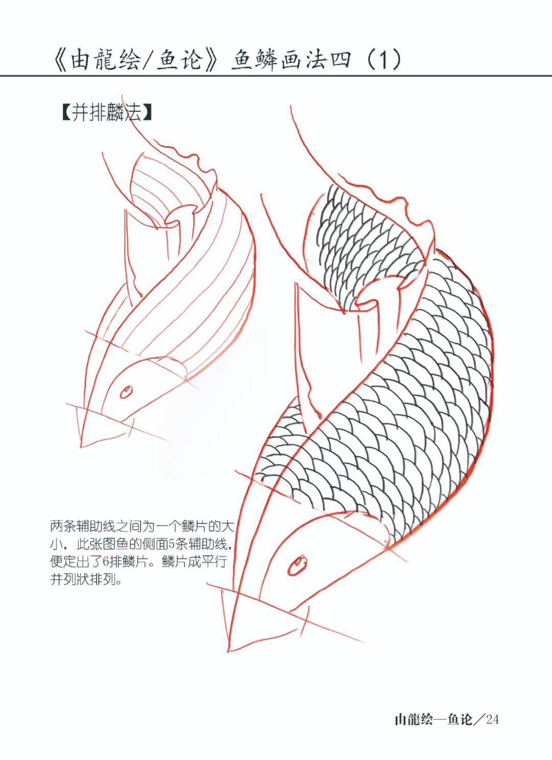 鱼论由龙2017年的手稿集