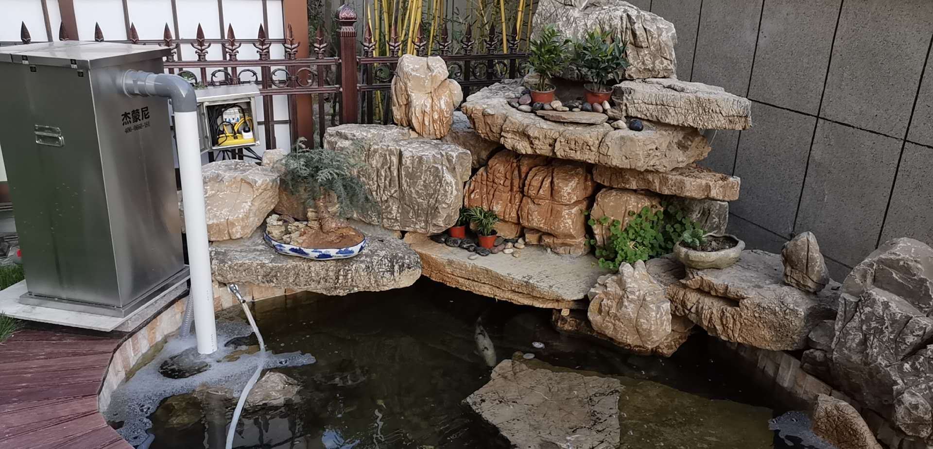 养鱼也是一门学门,自从有它家里风水都好了_鱼池