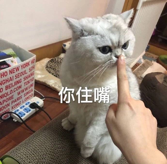 可爱搞笑表情包