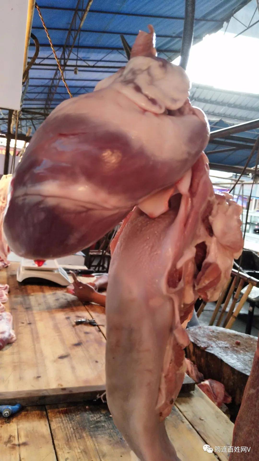 筠连巡司猪肉的市场价格是这样的.