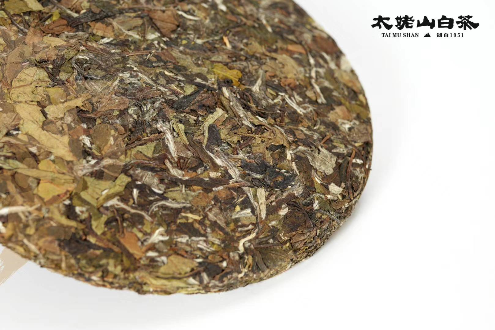 太姥山白茶金不换