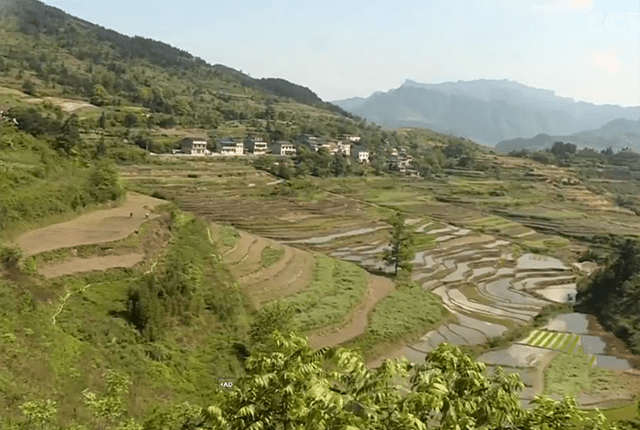 搞农家乐售卖每斤8元的大米卖鱼日赚300这个村脱贫不一般