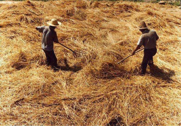 难忘的童年岁月——打麦场上的那些事儿