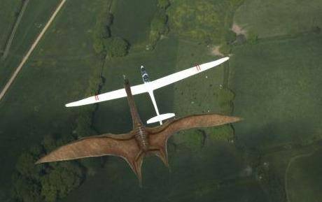 原创加拿大发现世界第一只北风冷龙风神翼龙地位受到挑战