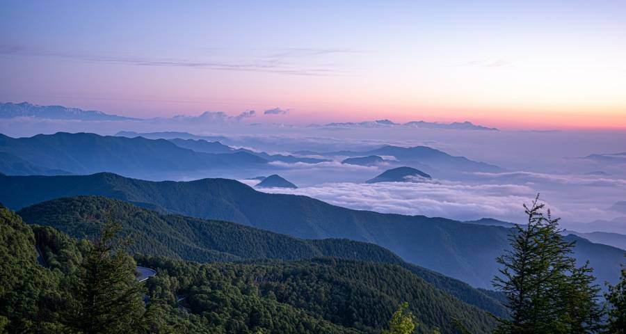 家电业的新烦恼：低价没有货，高端卖不动-家电圈官网