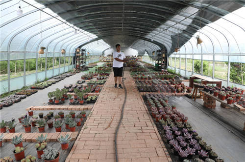 6月9日,王鑫在大棚裡給多肉植物澆水.