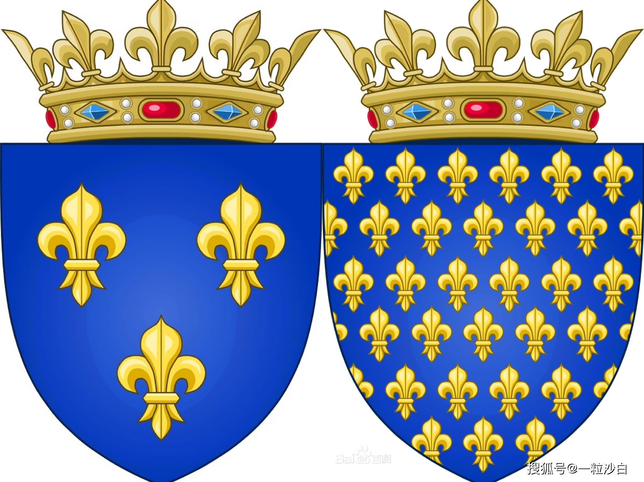 6月10日生日花:黄色鸢尾花,花语:胜利