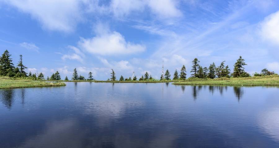 格力互联网直卖、京东天猫总代，接下来家电渠道变革要走向哪里?-家电圈官网