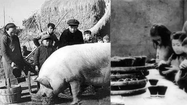 猪鬃大王:古耕虞,再小的产业也有大机会