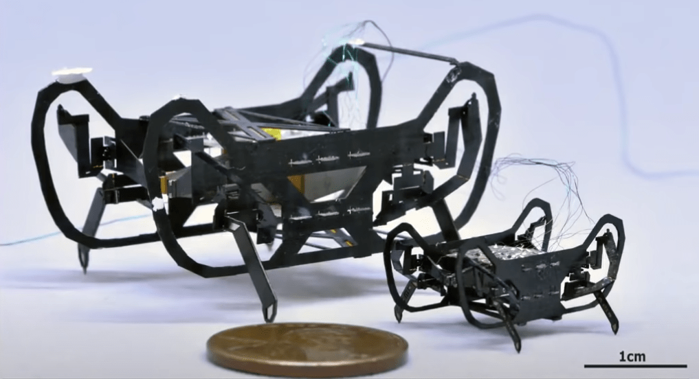 模仿蟑螂开发的机器人?蟑螂有什么能耐