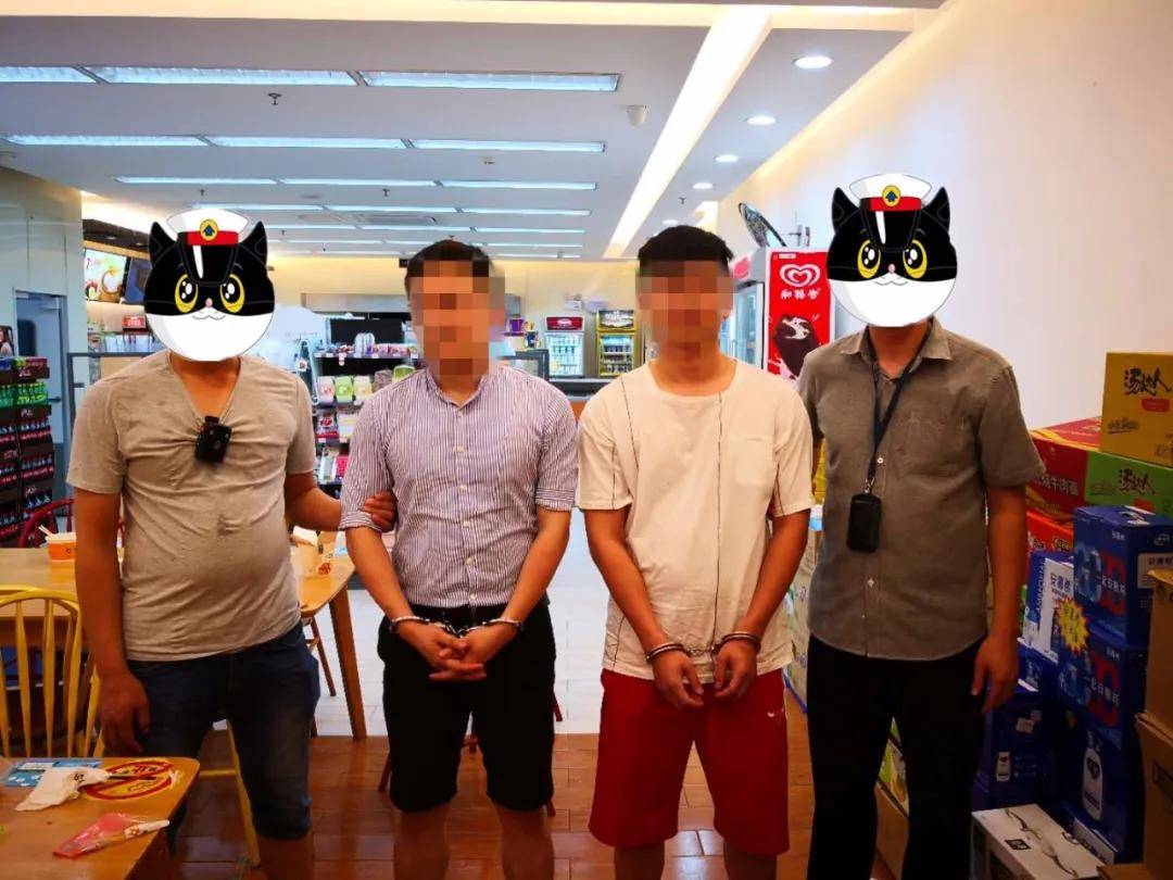 以交友为由,"杀猪盘"诈骗!河源公安抓获12人_行动