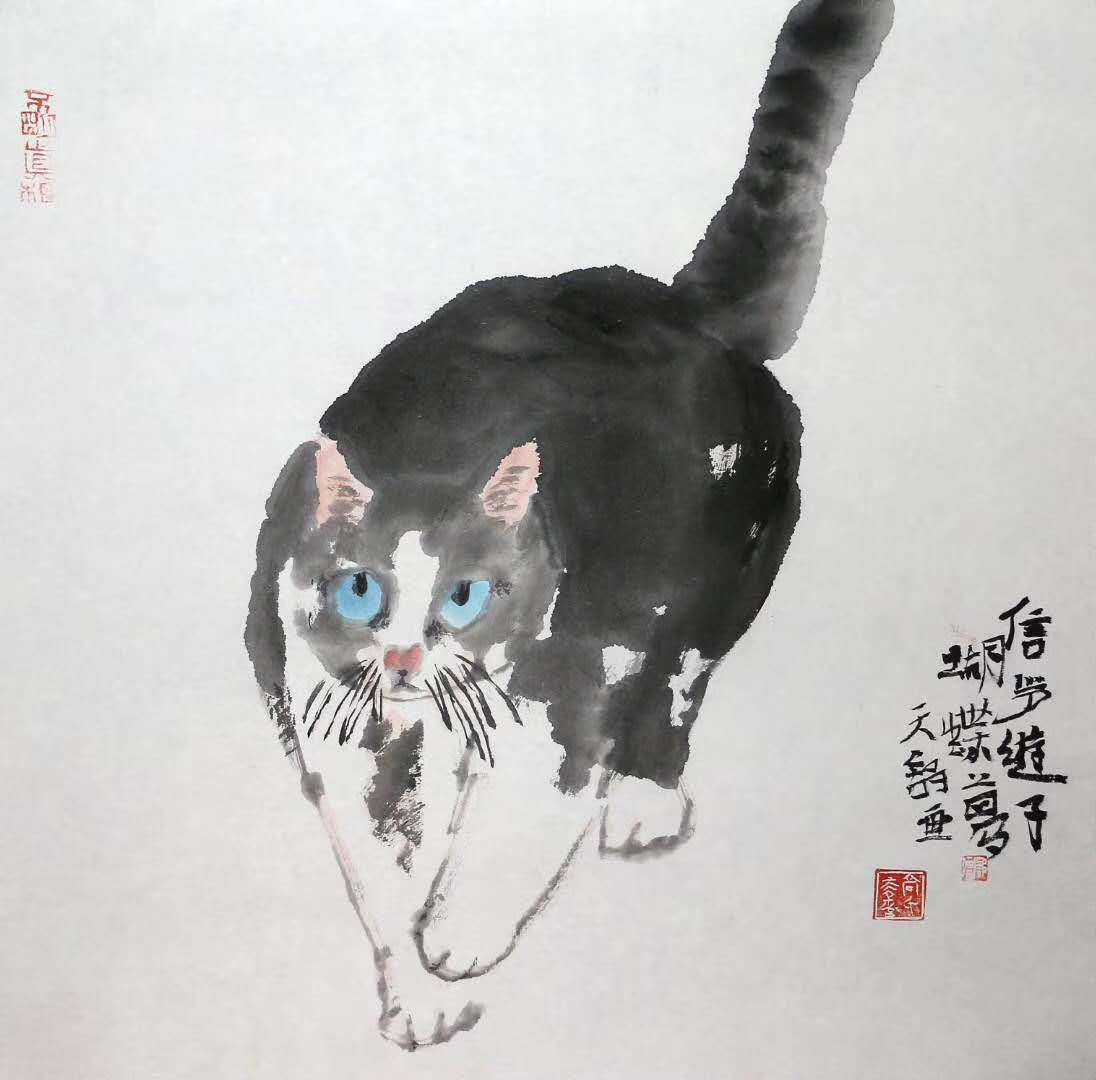 高天舒,在猫的世界里寻找一种精神