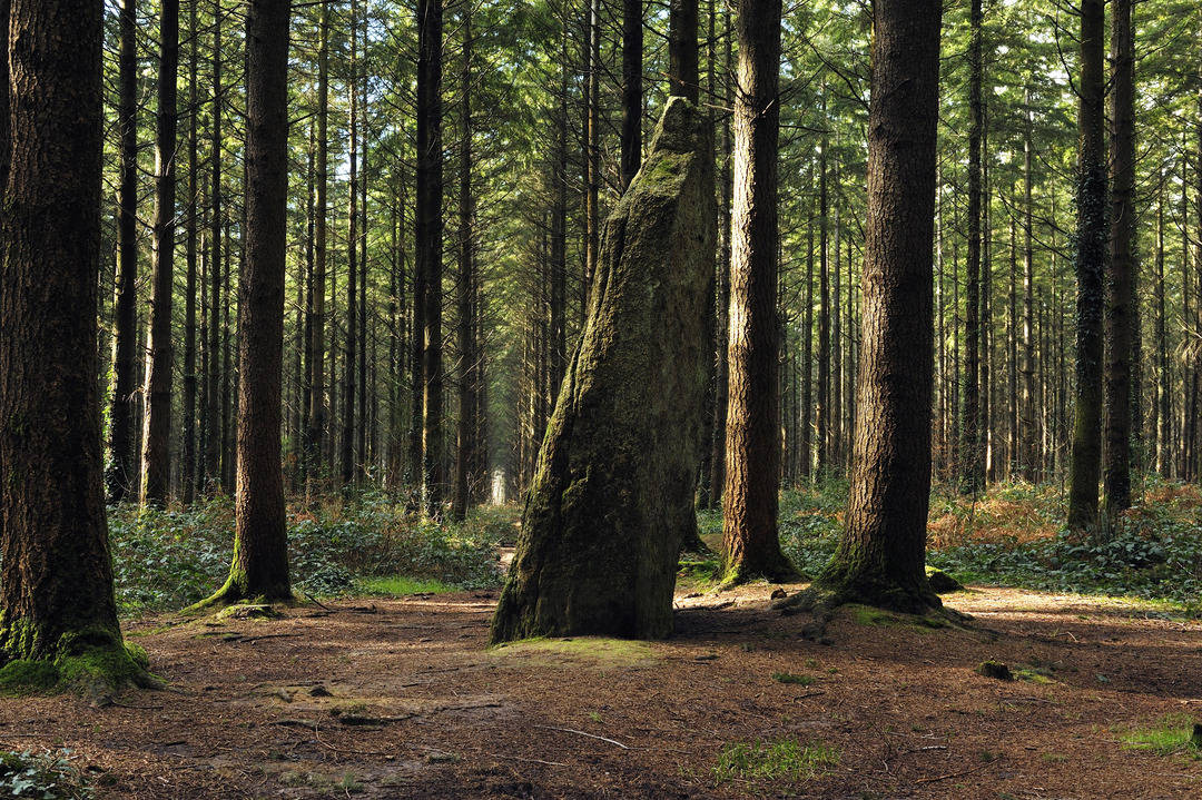 魔法的起源 - 法国布列塔尼(上篇)