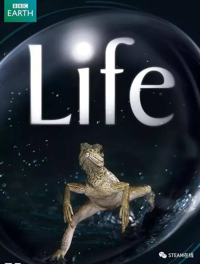 ,豆瓣最高9.9分,收藏带孩子一起看