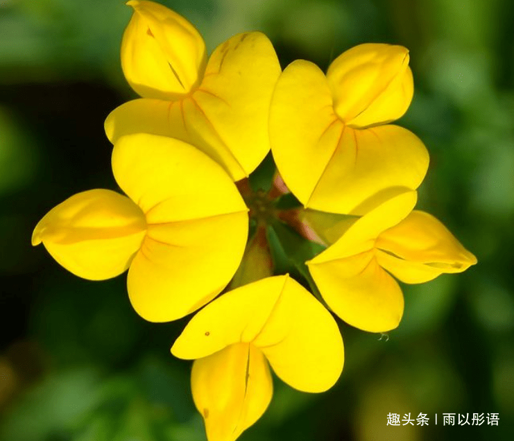 5月18號財運到