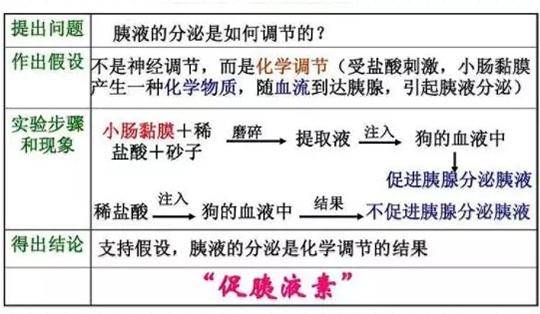 从思维藩篱中突围,促胰液素的发现开创了内分泌学新纪元