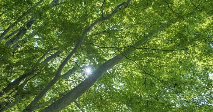 部委力挺废旧家电换新消费,厂商不能再无动于衷!-家电圈官网