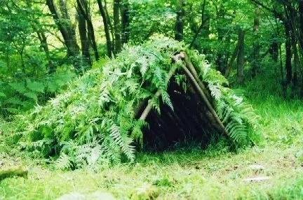 给我一口锅 | 独立1日营,户外净水、取火、野炊,点亮户外生存基本技能!_庇护所