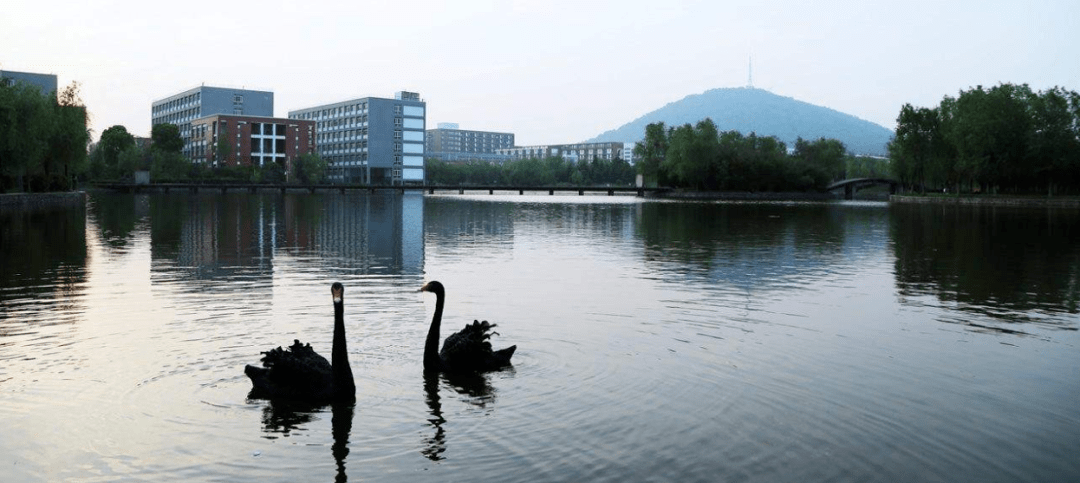 安徽新华学院2020年招聘简章