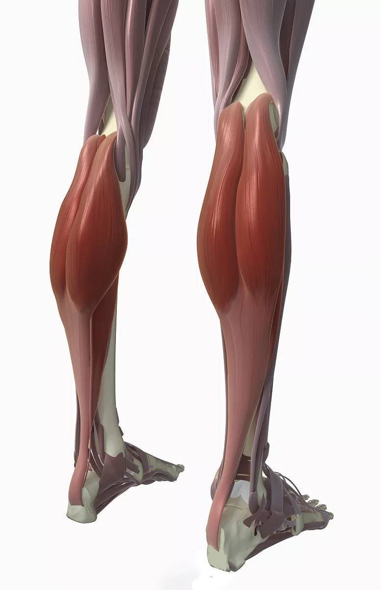 每天一个拉伸动作之小腿后侧拉伸