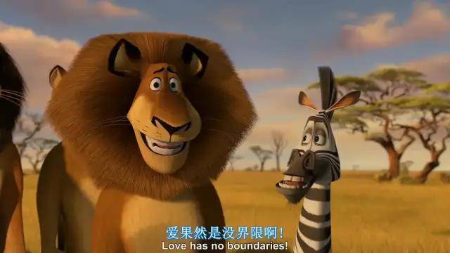 《马达加斯加2:逃往非洲》友情与爱情 生活与工作_狮子