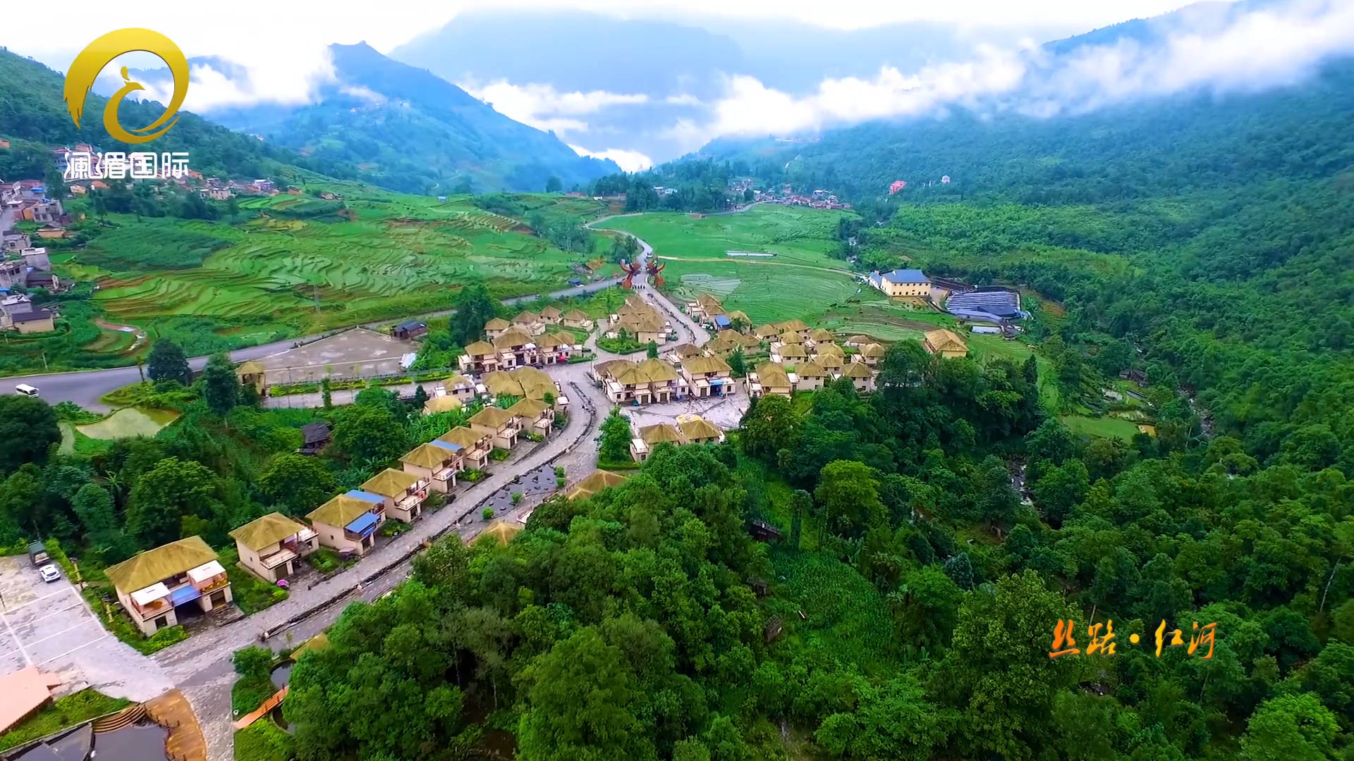 丝路红河|金平蝴蝶谷:万千蝶舞甲天下!