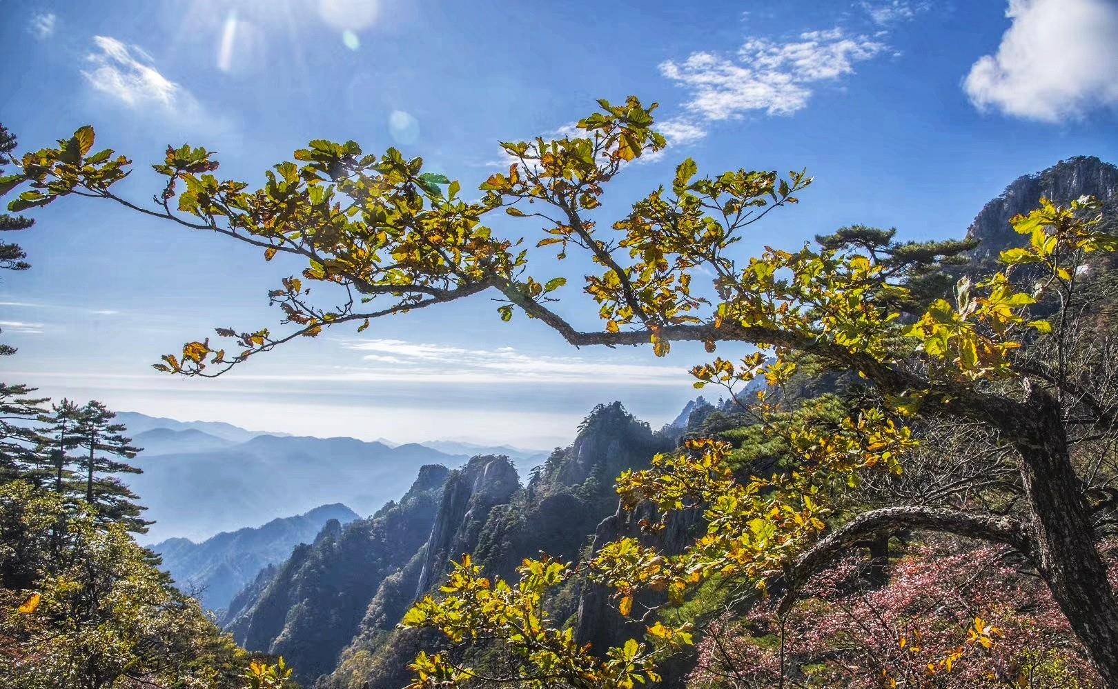 (摄影:胡惠民)我是,热爱生活,喜爱旅行和写作,乐意分享旅途美景美食