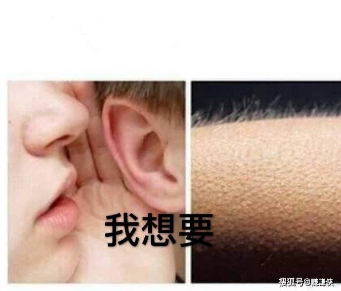 最新表情包图片我想要惊喜