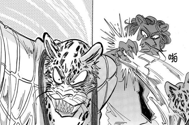 原创beastars:狮豹开战!梅隆被母亲当作丈夫